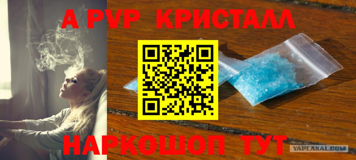 Alfa_PVP крисы CK Хасавюрт