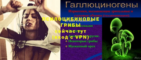 ECSTASY Липки