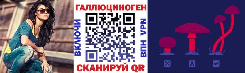 Галлюциногенные грибы ЛСД закладки Хасавюрт
