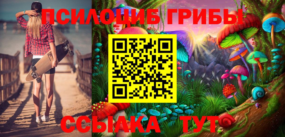 как найти   Псилоцибиновые грибы Psilocybe  Вход с VPN  Хасавюрт 