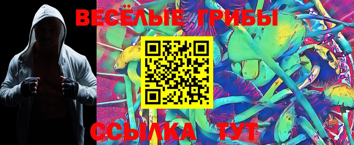 Галлюциногенные грибы Psilocybe Хасавюрт