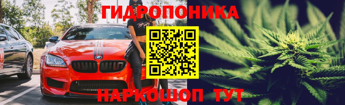 Марихуана марихуана Хасавюрт